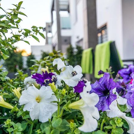 Eluxuria Sunny Villa Torrevieja Zewnętrze zdjęcie